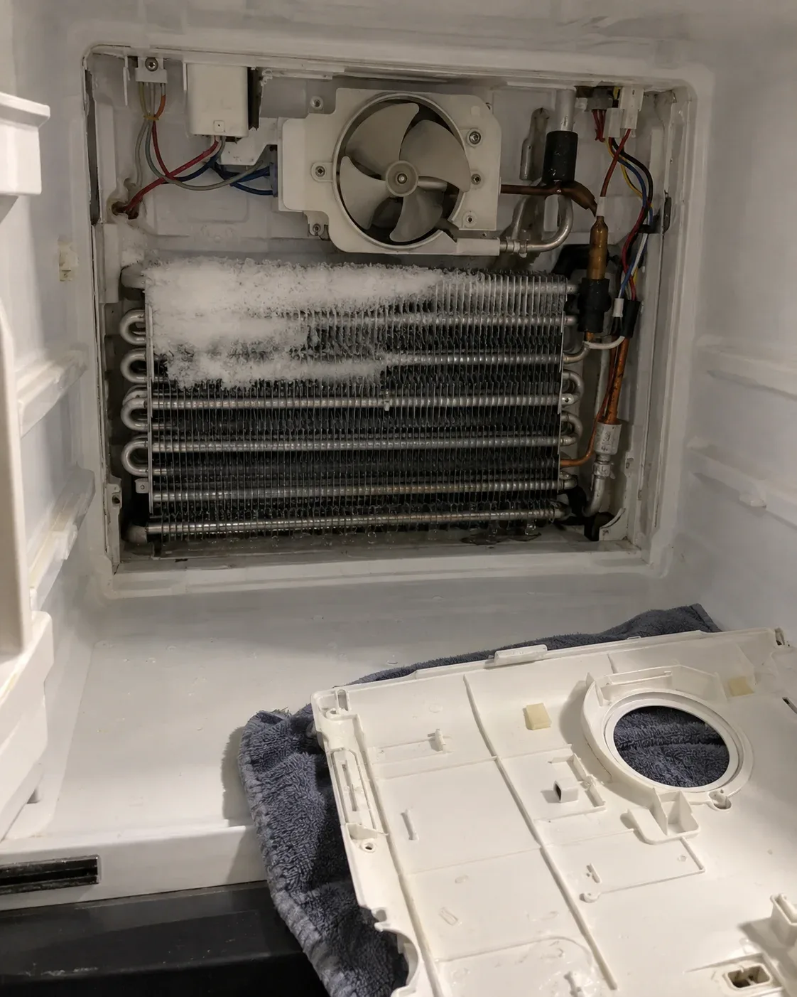 Exposed refrigerator freezer evaporator coil during inspection